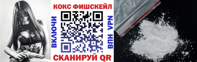 Cocaine Fish Scale  Купить  Гаврилов Посад 