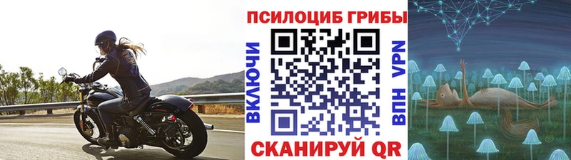 Галлюциногенные грибы мухоморы  Купить  Гаврилов Посад 